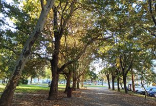 autumn Debrecen