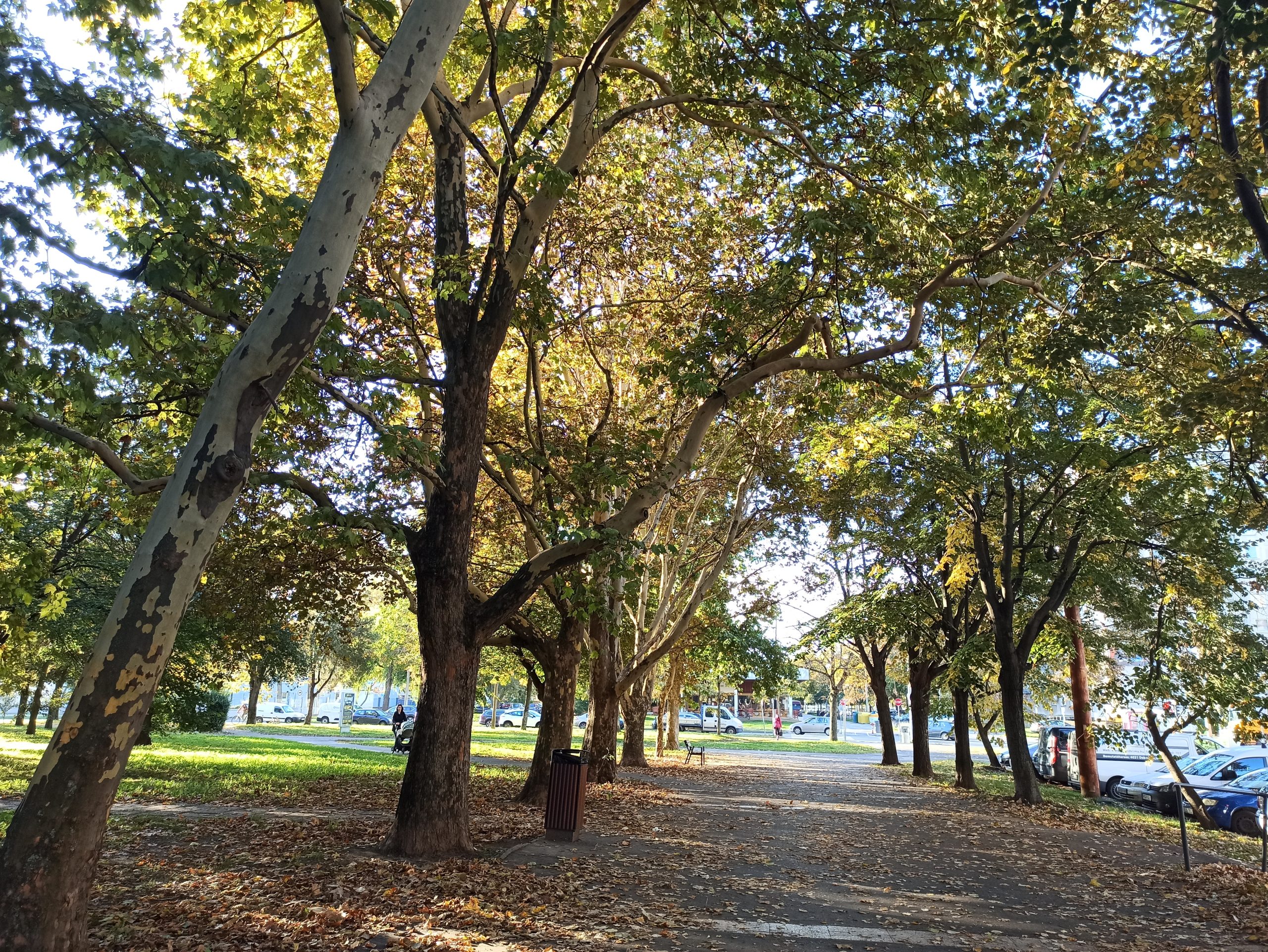 autumn Debrecen