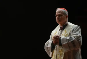 Pope Leo XIV XIV. Leó