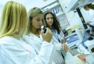 Medical summer camp at the University of Debrecen